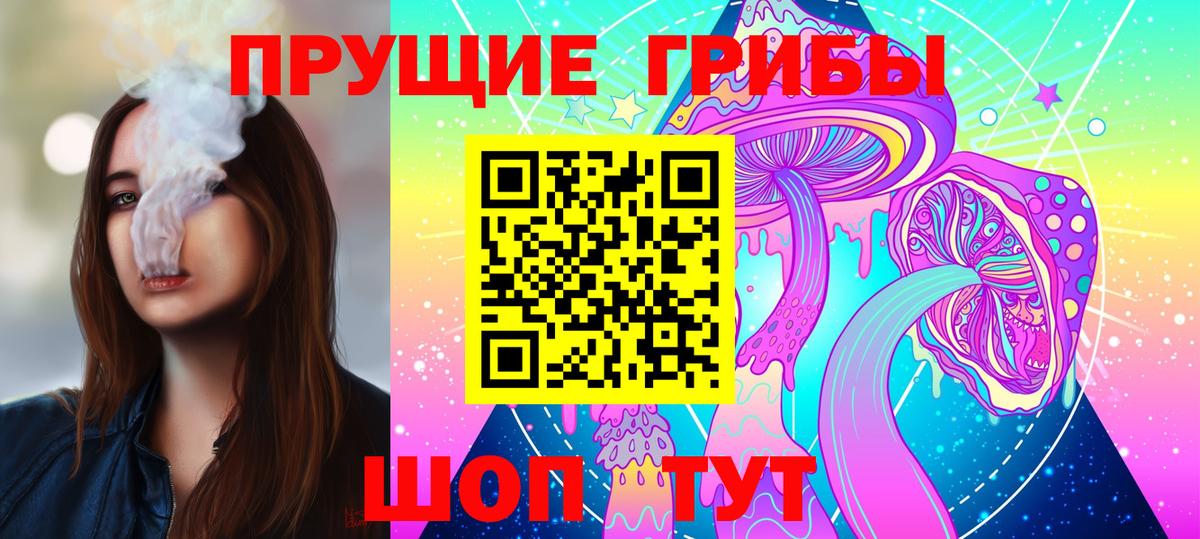 Галлюциногенные грибы Psilocybine cubensis Артёмовский
